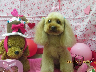 ファイル 6286-1.jpg