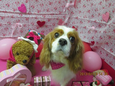 ファイル 6287-1.jpg