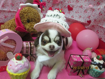 ファイル 6288-1.jpg