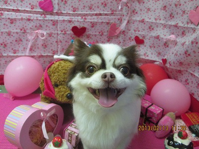 ファイル 6288-2.jpg