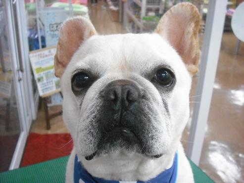 ファイル 629-1.jpg