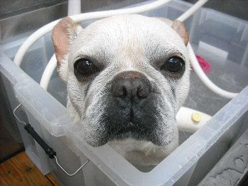 ファイル 629-2.jpg