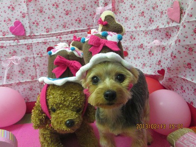 ファイル 6291-1.jpg