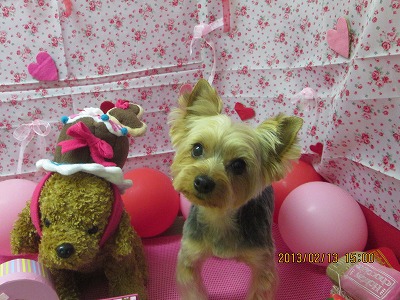 ファイル 6291-2.jpg