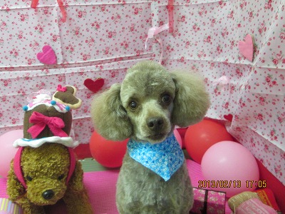 ファイル 6292-2.jpg