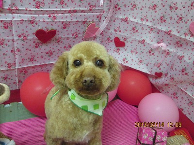 ファイル 6293-2.jpg