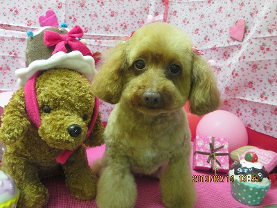 ファイル 6294-1.jpg