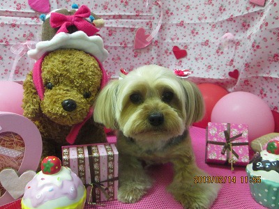 ファイル 6295-1.jpg