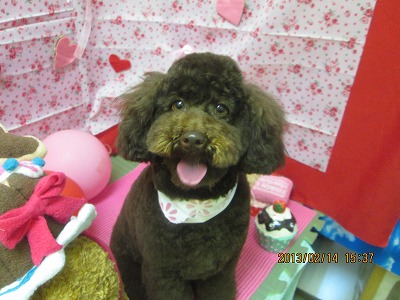 ファイル 6296-1.jpg