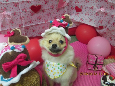 ファイル 6297-2.jpg