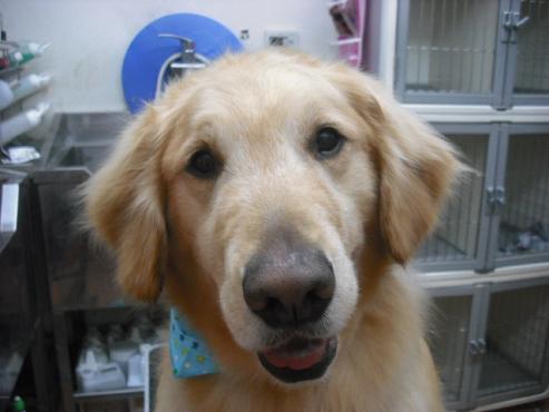 ファイル 63-1.jpg