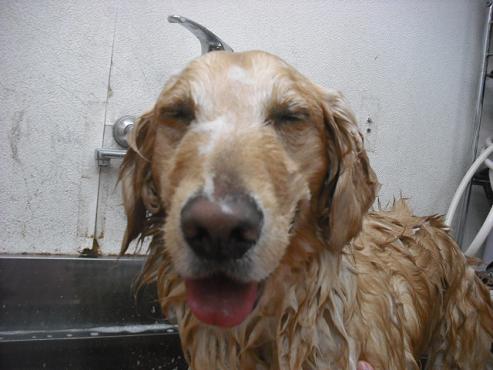 ファイル 63-2.jpg