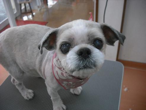 ファイル 630-1.jpg