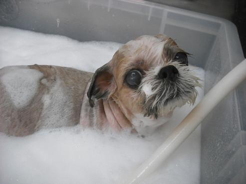 ファイル 630-2.jpg