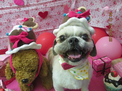 ファイル 6300-1.jpg