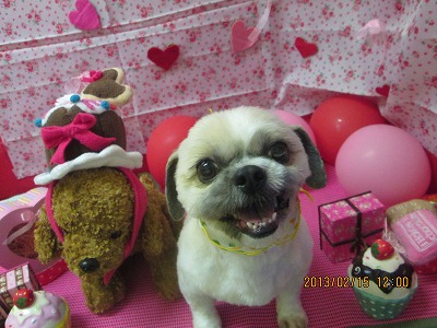 ファイル 6300-2.jpg