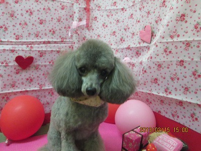 ファイル 6301-1.jpg