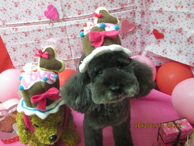 ファイル 6302-1.jpg