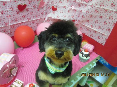 ファイル 6303-1.jpg