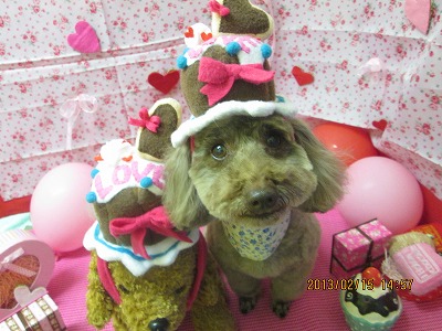 ファイル 6304-1.jpg