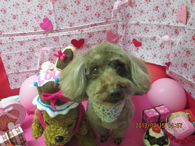 ファイル 6304-2.jpg