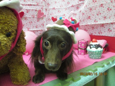 ファイル 6305-1.jpg