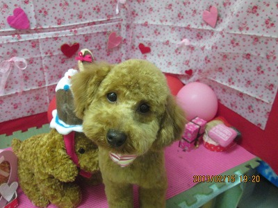 ファイル 6307-1.jpg