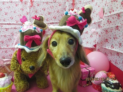 ファイル 6308-1.jpg