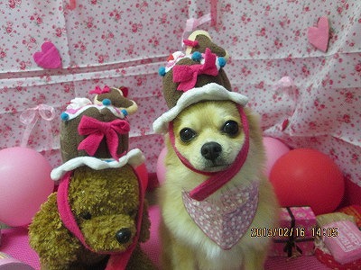 ファイル 6309-1.jpg