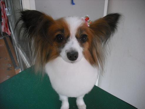 ファイル 631-1.jpg