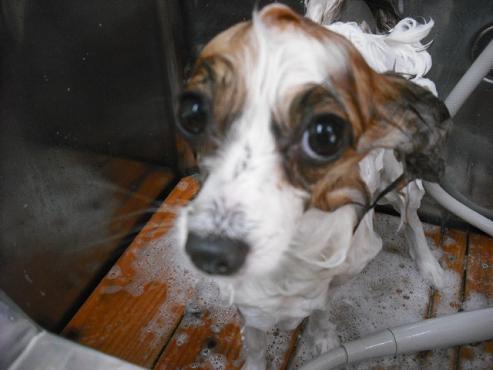 ファイル 631-2.jpg