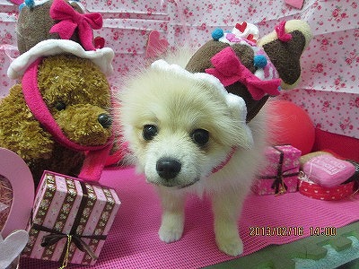 ファイル 6310-1.jpg