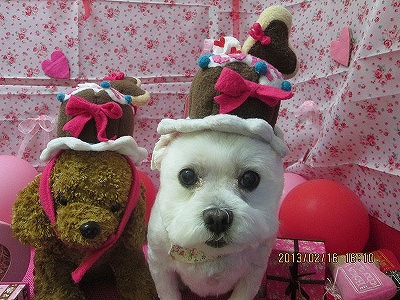 ファイル 6311-1.jpg