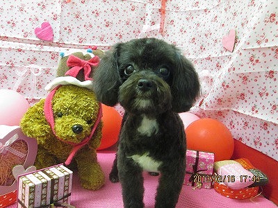 ファイル 6312-1.jpg