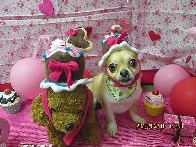 ファイル 6315-1.jpg