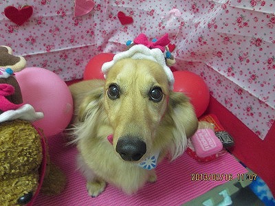 ファイル 6318-1.jpg