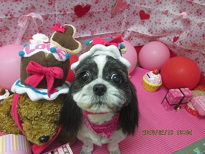 ファイル 6319-1.jpg