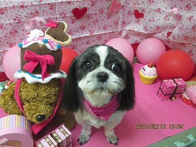 ファイル 6319-2.jpg