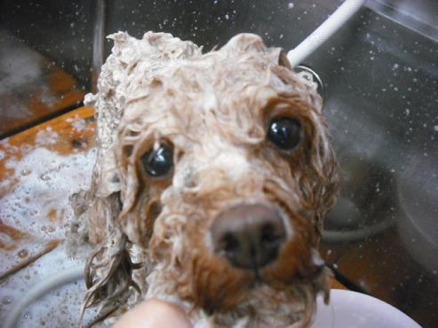 ファイル 632-2.jpg