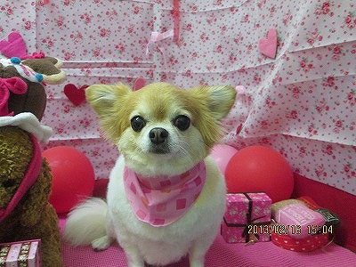 ファイル 6320-1.jpg