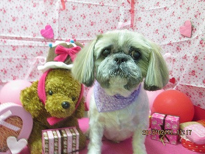 ファイル 6323-1.jpg