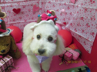 ファイル 6324-1.jpg