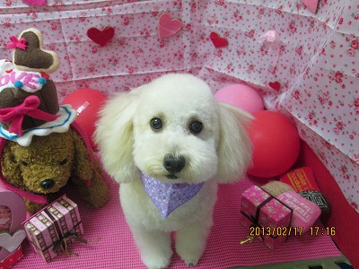 ファイル 6324-2.jpg