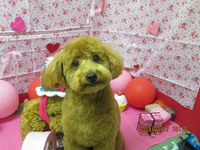 ファイル 6325-2.jpg