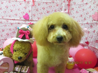 ファイル 6326-1.jpg