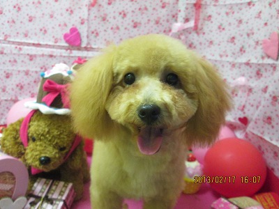 ファイル 6326-2.jpg