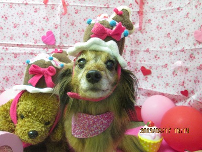 ファイル 6327-1.jpg