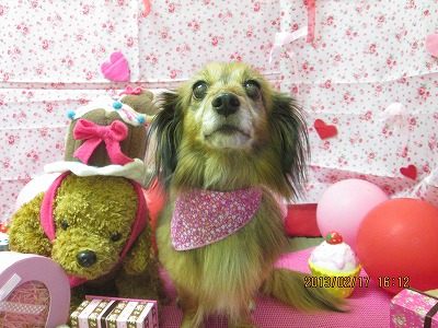 ファイル 6327-2.jpg