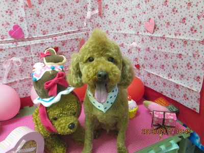 ファイル 6328-1.jpg