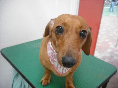 ファイル 633-1.jpg